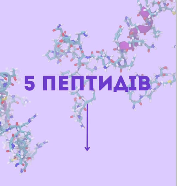 5 Пептидів – формула молодості та сяйва! Знайомтесь з топовими компонентами PLLA Belar